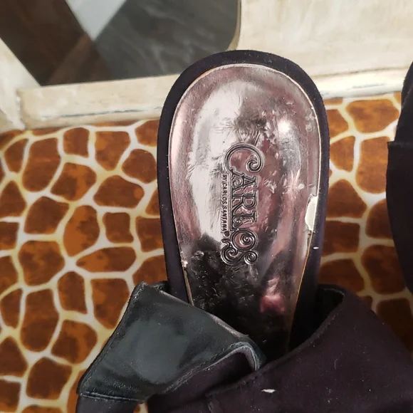 Carlos - Picture 9 of 11